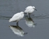 2010 07 10_WE_1305