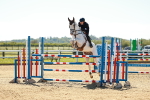 SBM_001639