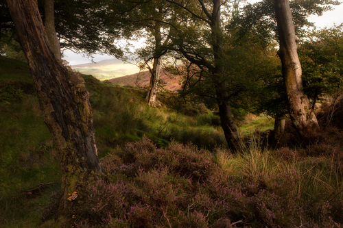 Sunlight catches the slopes of Snaefell as the soft light breaks through in patches into the edge of the Montpelier w…