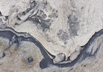 AD317