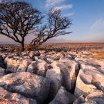 Late Evening at White Scar