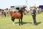 SBM_02126