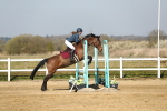 SBM_000247