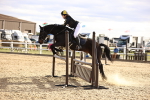 SBM_003648