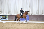 SBM_005446