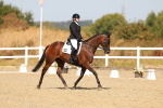 SBM_017740