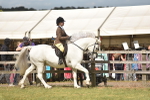 SBM_17705