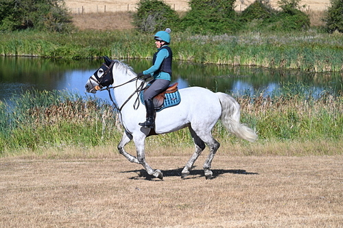WJ7_7050