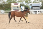 SBM_17036