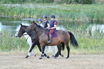 WJ7_8361