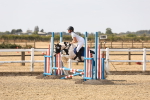SBM_000689