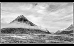 =1st Place Digital
