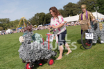 North Show 2017-153