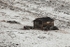 Todalen 6398