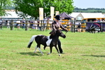 SBM_03504