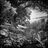 DISTANT PATH