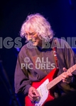 Albert Lee-3