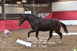 BPP_1564