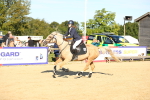 SBM_14965