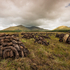 Peat Stacks