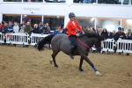 SBM_004935