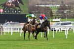 240126-Race 3-Donnacha-6396