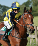PR 250526 636a