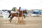 SBM_18395