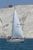 190629 SEA NYMPH III GBR5754T 1Y3A1033