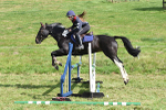 PPACP_0397