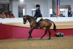 SBM_14946
