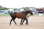 SBM_15262