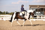 SBM_08089