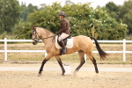 SBM_006441