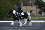 WJ5_8694