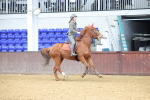 SBM_001544