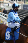 yr13052021r6-21