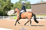 197-Karen.Martin-Furzeylodge.Weatherwax portfolio