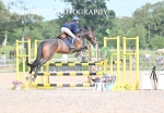 BPP_1534