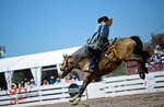 3HRodeo_CFD_JUL_18_2026_04113