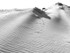 Dunescape 04