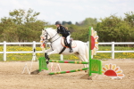 SBM_003741