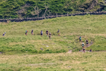 Wasdale-180