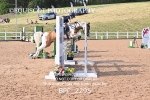 BPP_2295