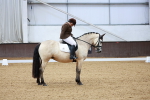 SBM_000246