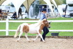 SBM_00232