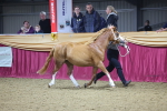 SBM_18939