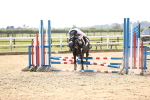 SBM_001285
