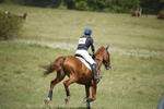 BVHT 140517  IXC -407
