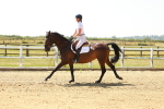 SBM_001491